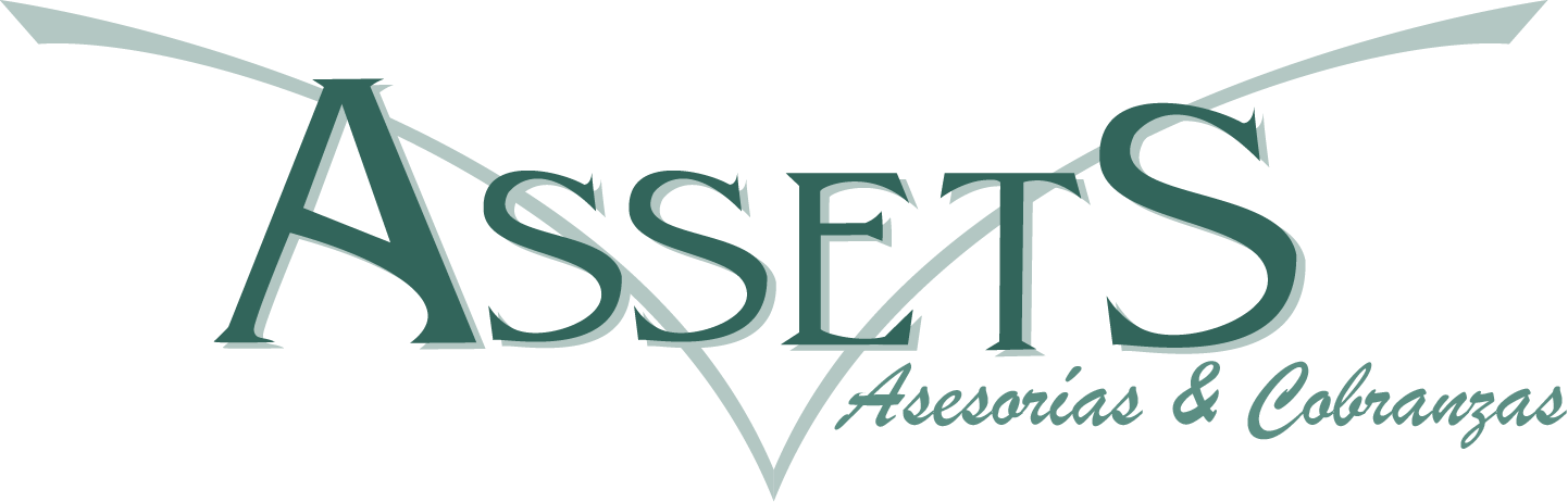 Logo AssetsLtda